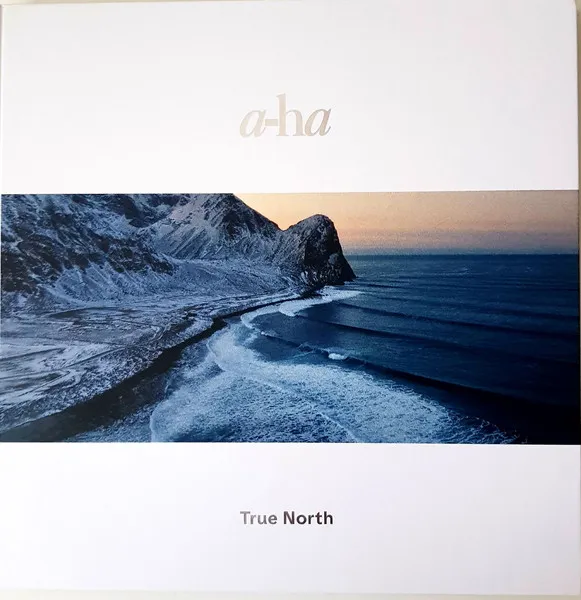 True North (180g) (Limited Deluxe Edition) (Recycled Black Vinyl)