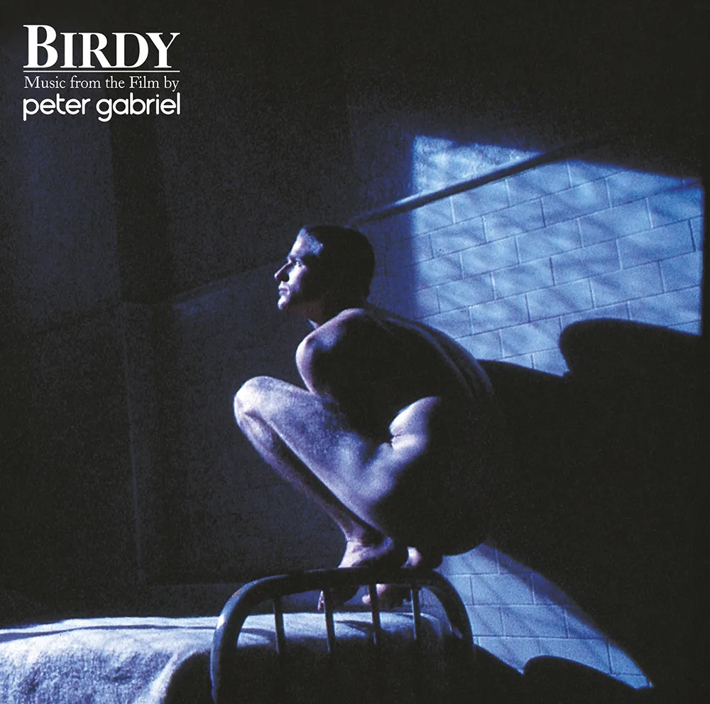 Birdy (Reissue) (remastered) (180g)