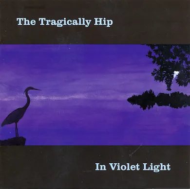In Violet Light