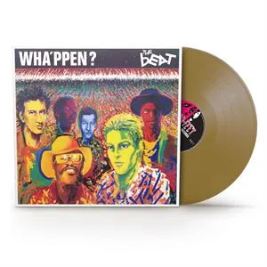 WHA’PPEN?
