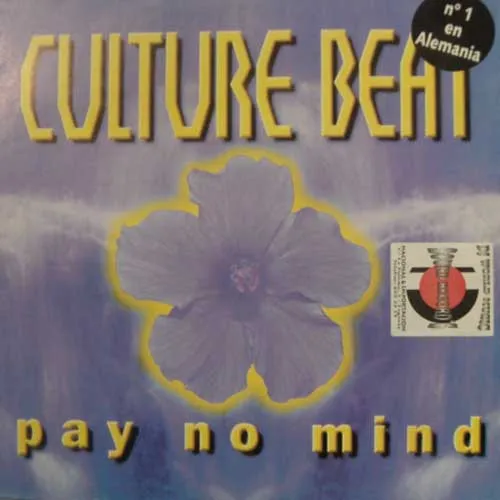 Pay No Mind
