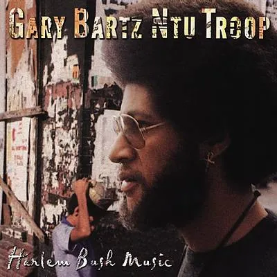HARLEM BUSH MUSIC