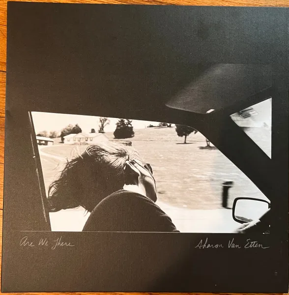 Are We There (10th Anniversary) (Limited Edition) (Black, Grey, Silver Tri-Color Split Vinyl)