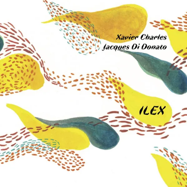 Ilex