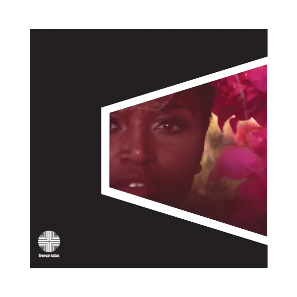 Adrian Younge Presents The Delfonics