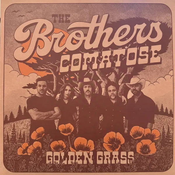 Brothers Comatose
