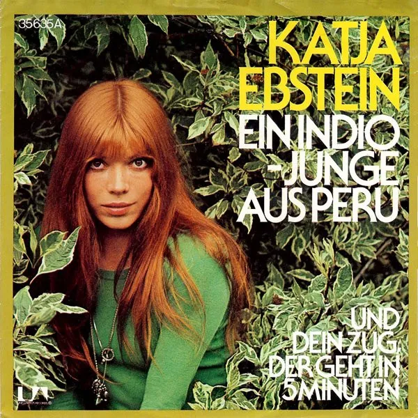 Ein Indio-Junge Aus Peru