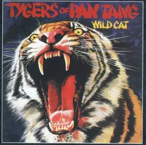 Wild Cat + 8