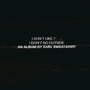 I Don't Like Shit, I Don't Go Outside