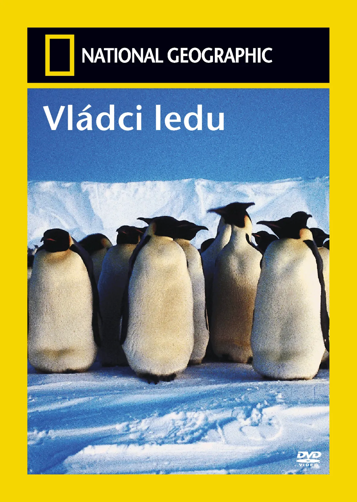 VLADCI LEDU