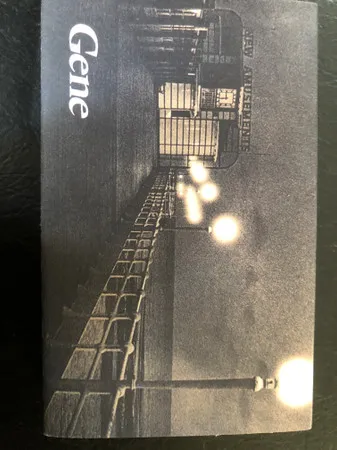 To See The Lights
