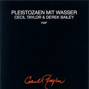 Pleistozaen Mit Wasser