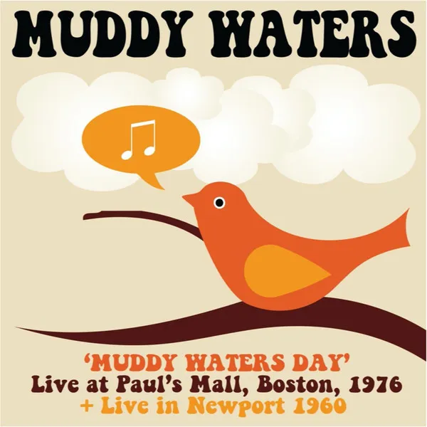 Muddy Waters
