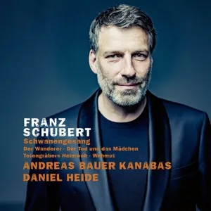 Franz Schubert, Schwanengesang