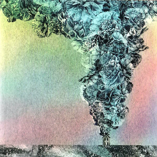 Carnation