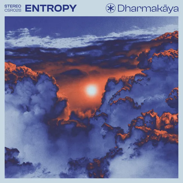 Entropy NY