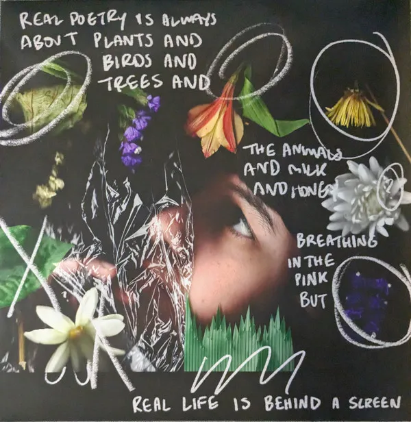 Real Poetry Is Always About Plants And Birds And Trees And The Animals And Milk And Honey Breathing In The Pink But Real Life Is Behind A Screen