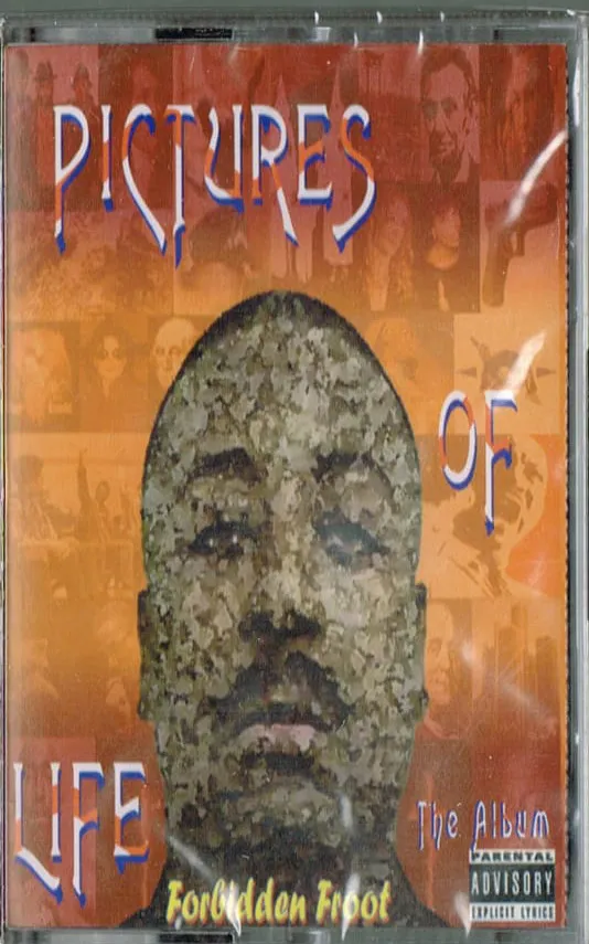 Pictures Of Life The Album