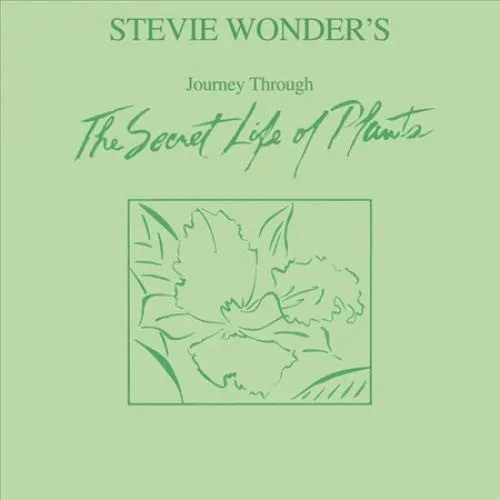 Stevie Wonder's Journey Through The Secret Life Of Plants