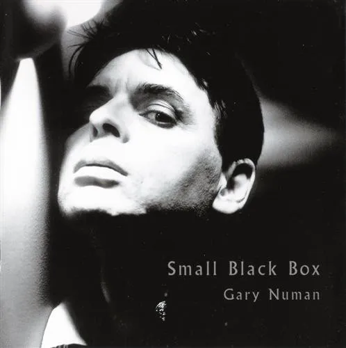 Small Black Box