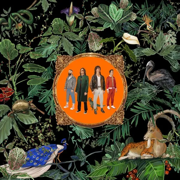 Amazing Things (Slipcase)