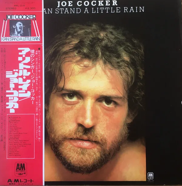 I Can Stand A Little Rain