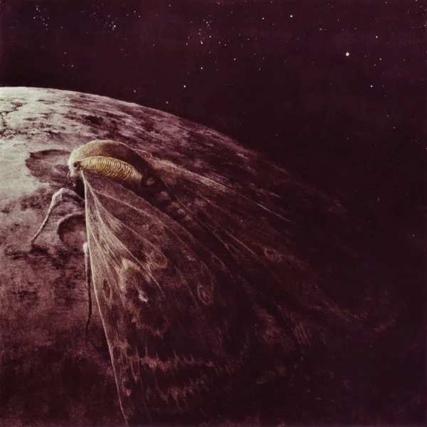 Moth And The Moon