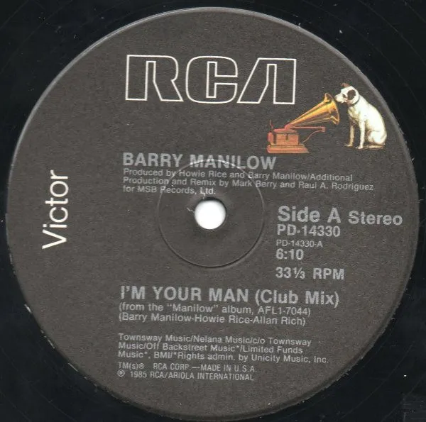 I'm Your Man