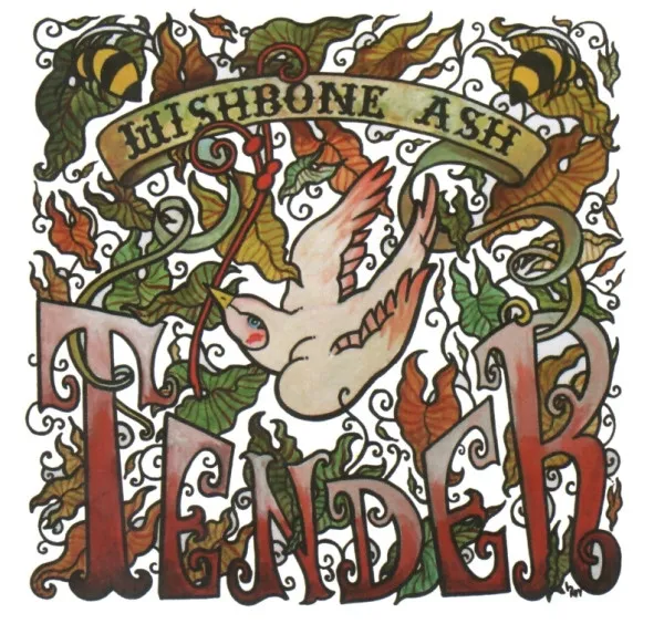 TENDER /BEST OF 1996-2008