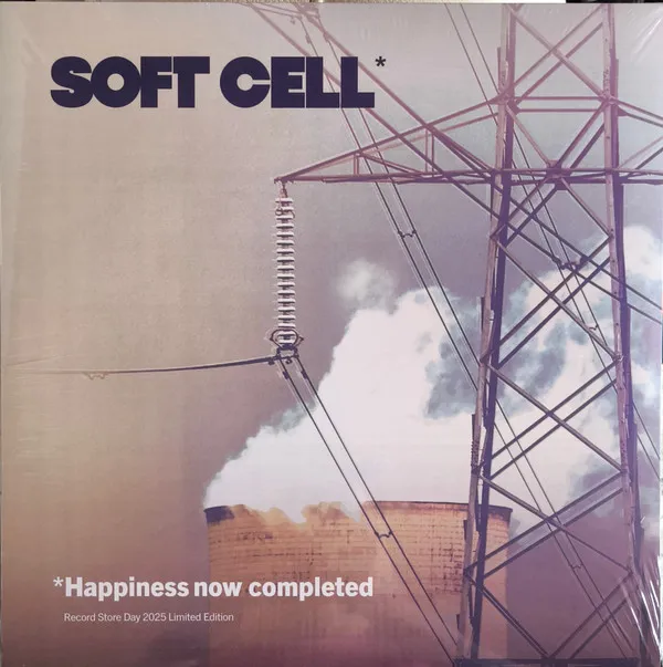*Happiness Now Completed