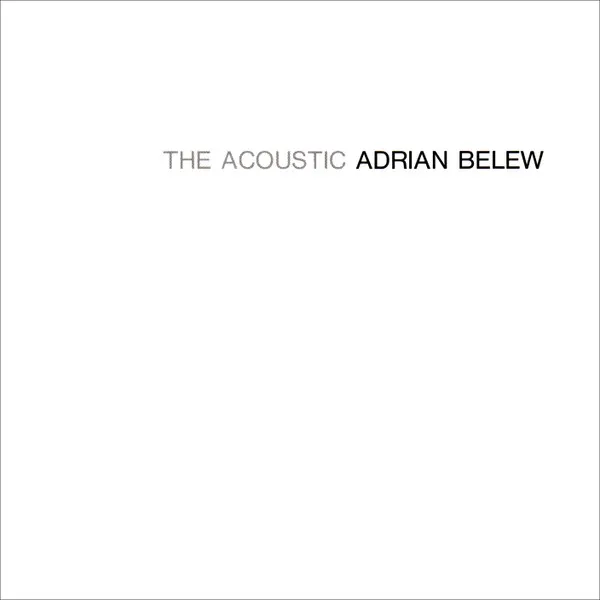 The Acoustic Adrian Belew