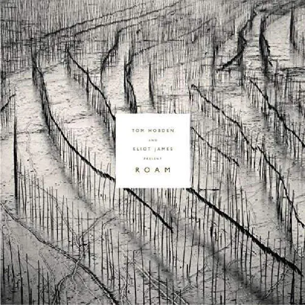 Present: Roam