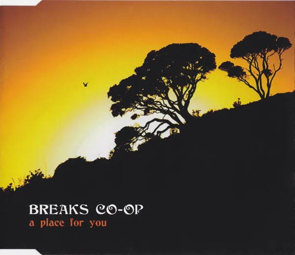 A Place For You