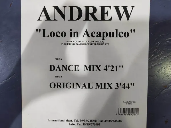 Loco In Acapulco
