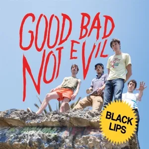 Good Bad Not Evil (Deluxe Edition) (Black Vinyl)