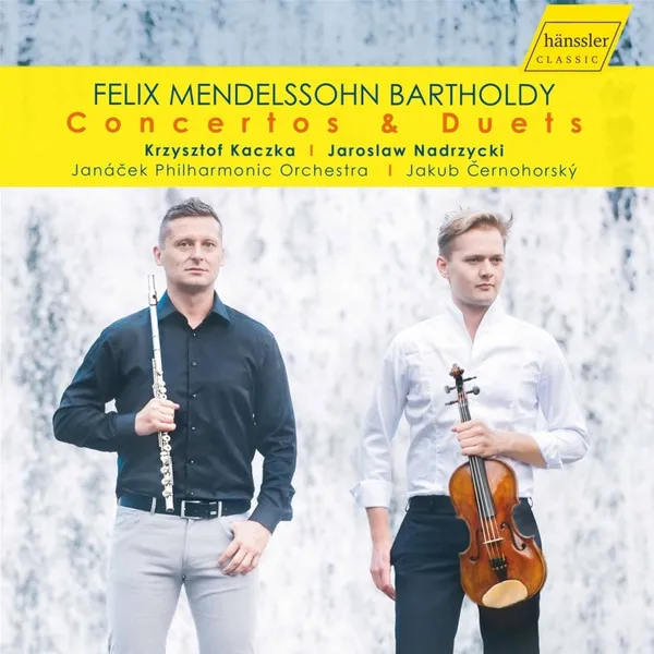 Flötenkonzert op.64 (nach dem Violinkonzert)