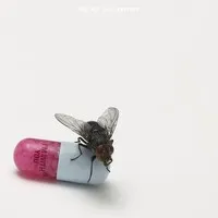 I'M WITH YOU