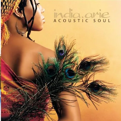 ACOUSTIC SOUL