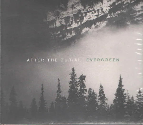 Evergreen