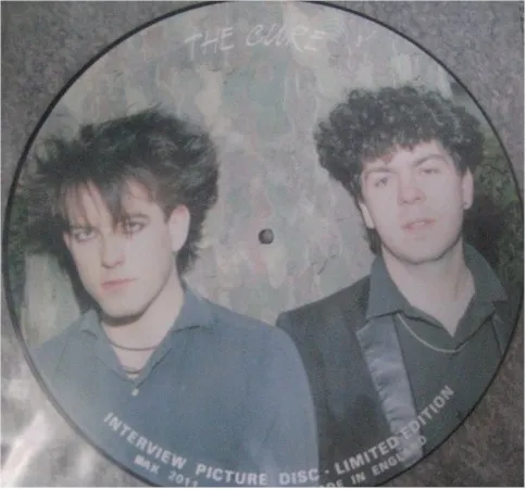 Interview Picture Disc