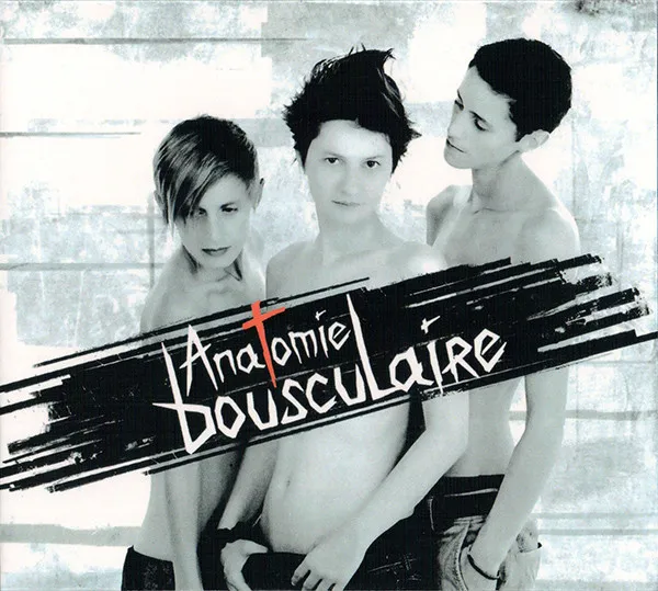 Anatomie Bousculaire