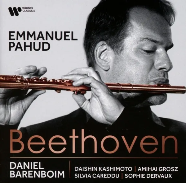 Kammermusik für Flöte