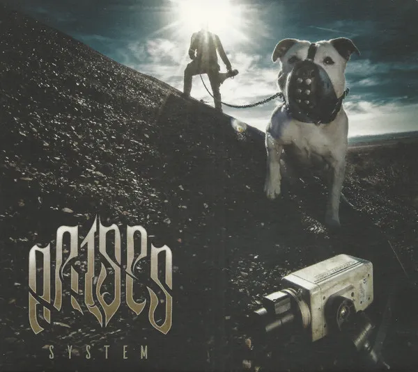 System