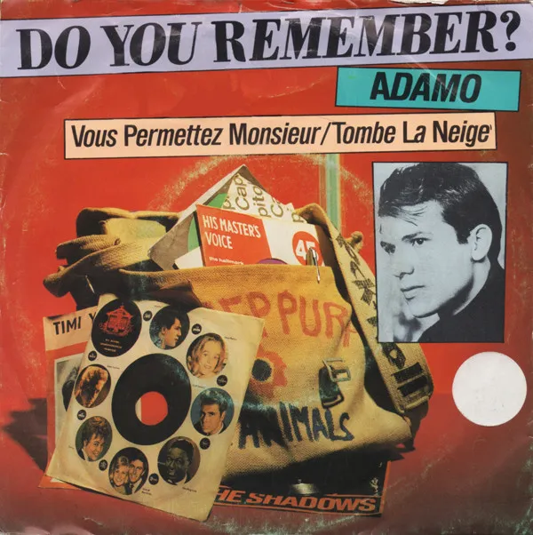 Vous Permettez Monsieur / Tombe La Neige