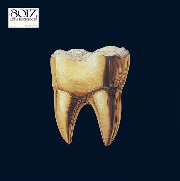 Soiz