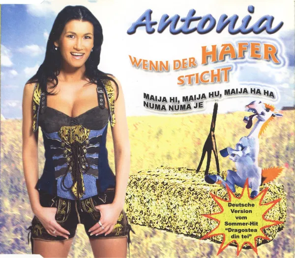 Wenn Der Hafer Sticht
