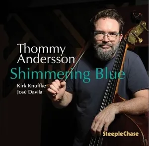 Shimmering Blue