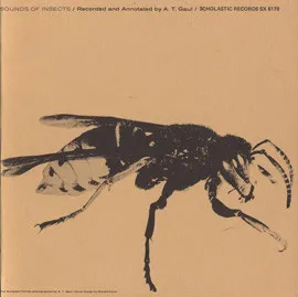 Sounds Of Insects