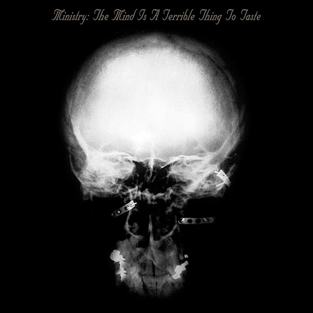 The Mind Is A Terrible Thing To Taste (180g) (Expanded Edition) (Rocktober 2025)