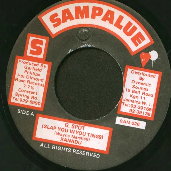 G. Spot (Slap You In You Tings)